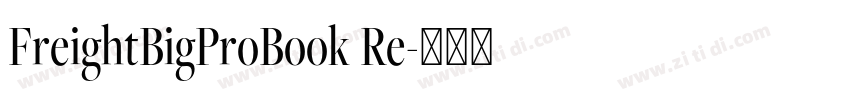 FreightBigProBook Re字体转换
